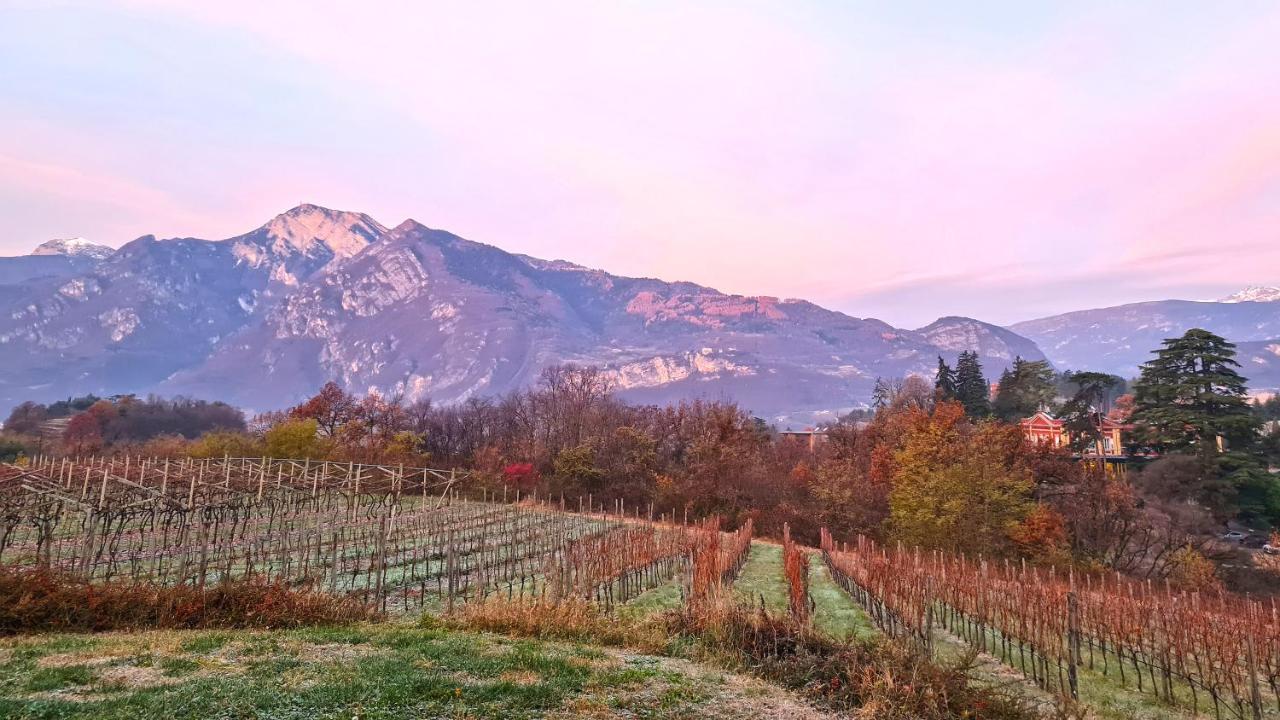 Villa Agritur Ponte Alto Trento Exterior foto